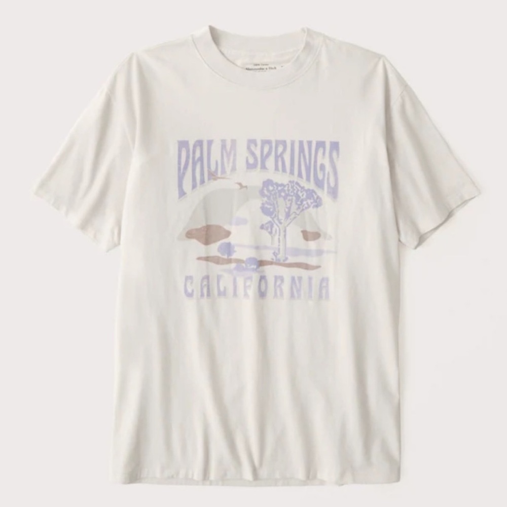 Abercrombie & Fitch Oversized Boyfriend Palm Springs Graphic Tee